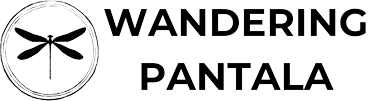 Wandering Pantala